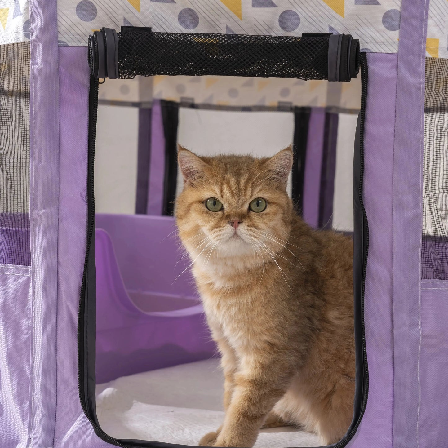 Foldable Mesh Ventilated Circular Cat Nest for Cats and Dogs
