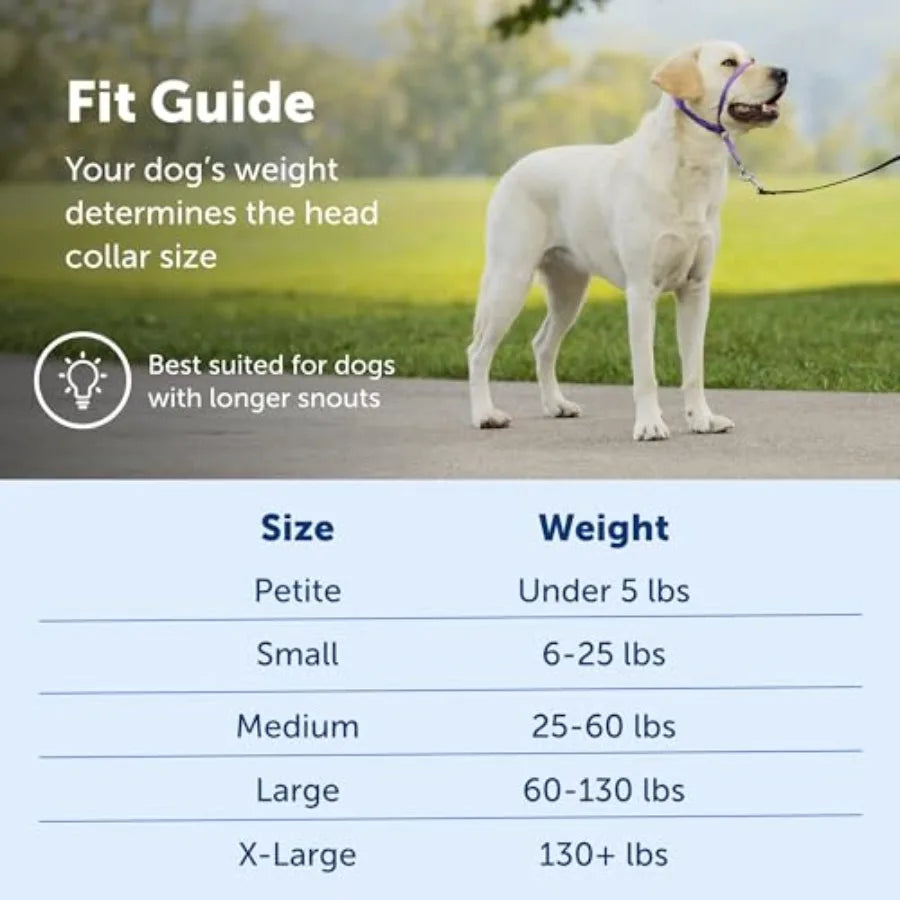 Hign-concerned Gentle Leader Dog Head Collar With Padded Strap