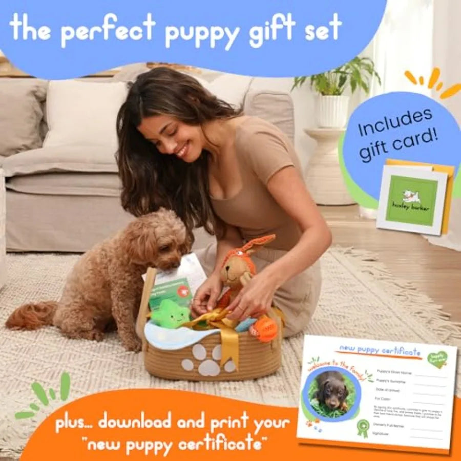 Puppy Starter Kit With Chew Toys And Training Essentials