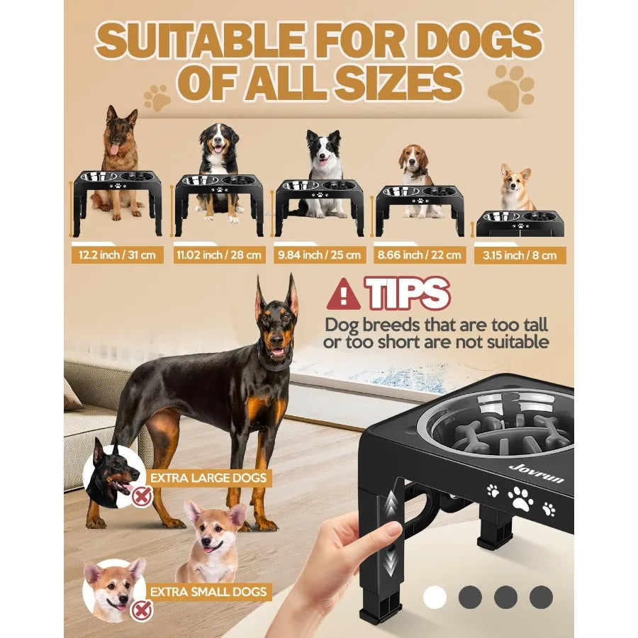 High Concerned Elevated Dog Feeder With Stainless Steel Dishes