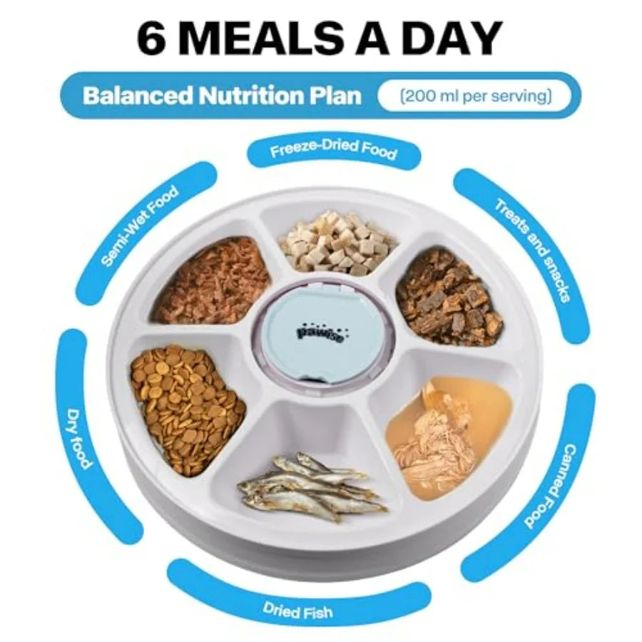 Hign-concerned 6 Meal Programmable Pet Food Dispenser With Timer